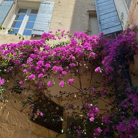 Du Musee Hotel 3*